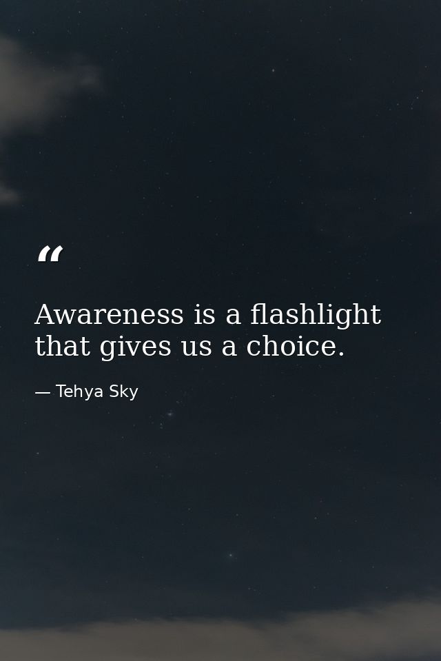 Awareness is a flashlight that gives us a choice. — Tehya Sky