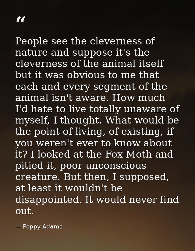 People see the cleverness of nature and suppose it's the cleverness of the animal itself but it was obvious to me that e — Poppy Adams