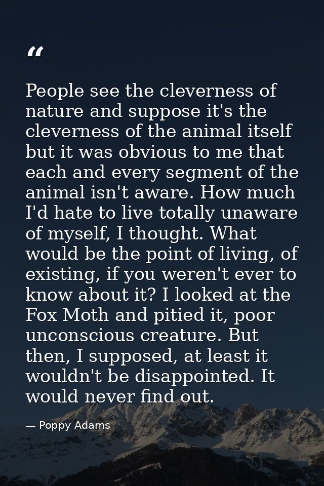 People see the cleverness of nature and suppose it's the cleverness of the animal itself but it was obvious to me that e — Poppy Adams
