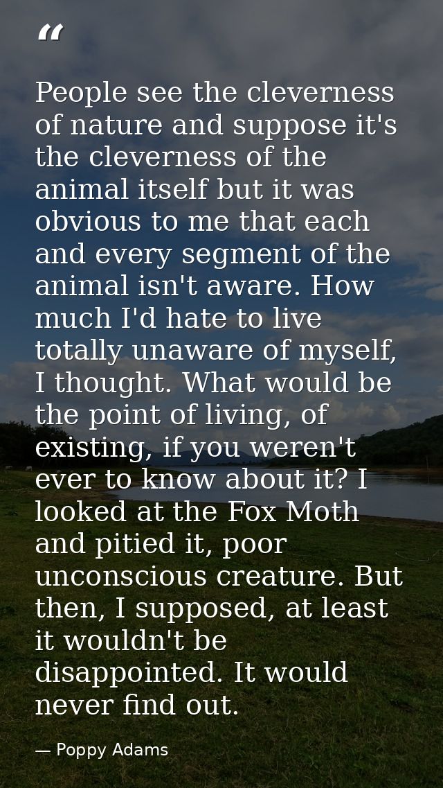 People see the cleverness of nature and suppose it's the cleverness of the animal itself but it was obvious to me that e — Poppy Adams