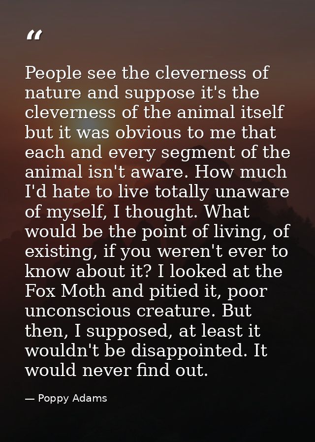 People see the cleverness of nature and suppose it's the cleverness of the animal itself but it was obvious to me that e — Poppy Adams