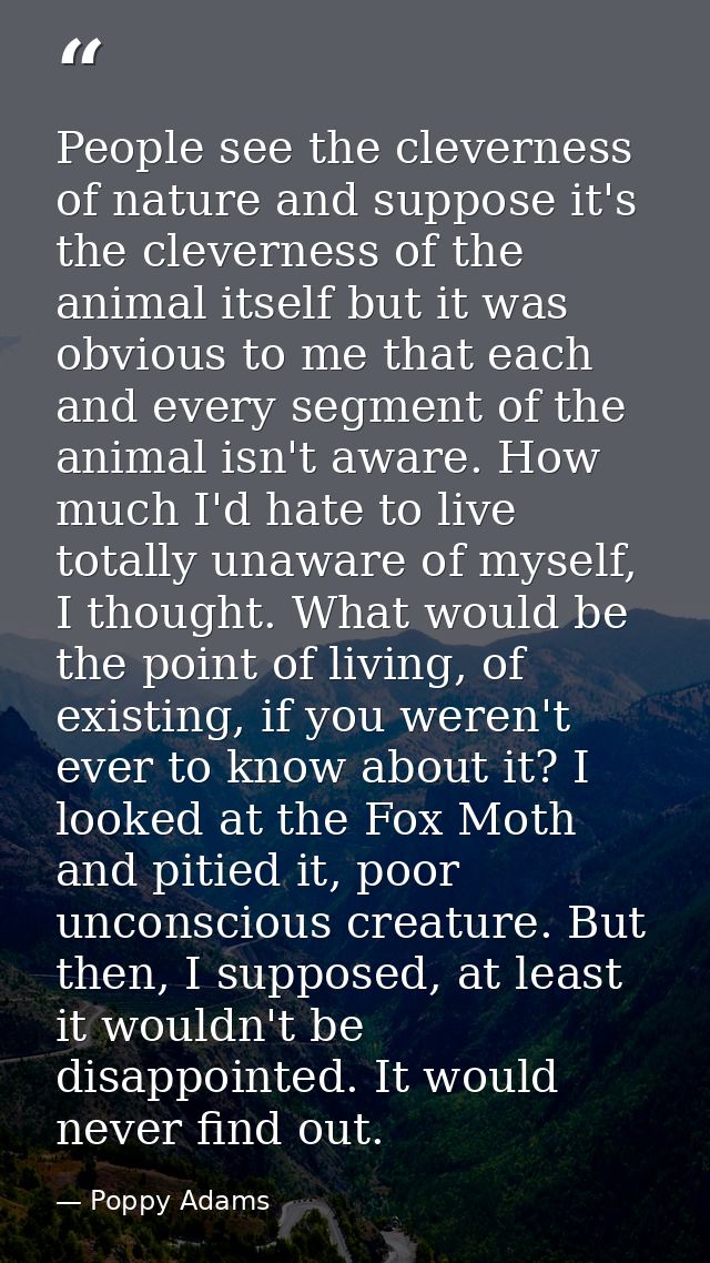 People see the cleverness of nature and suppose it's the cleverness of the animal itself but it was obvious to me that e — Poppy Adams