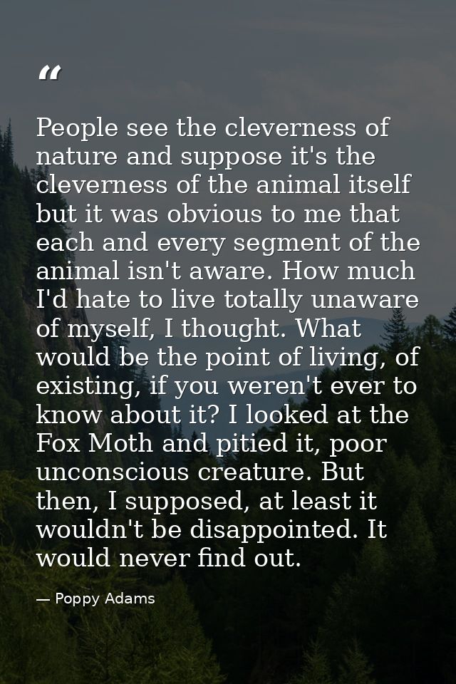People see the cleverness of nature and suppose it's the cleverness of the animal itself but it was obvious to me that e — Poppy Adams