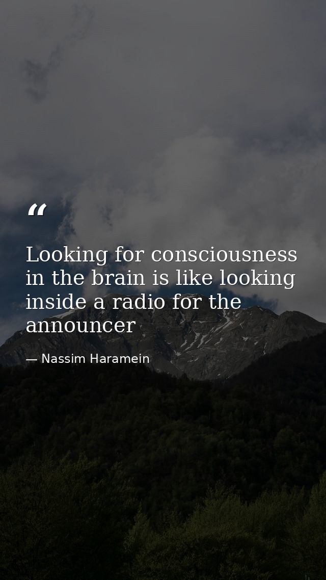 Looking for consciousness in the brain is like looking inside a radio for the announcer — Nassim Haramein