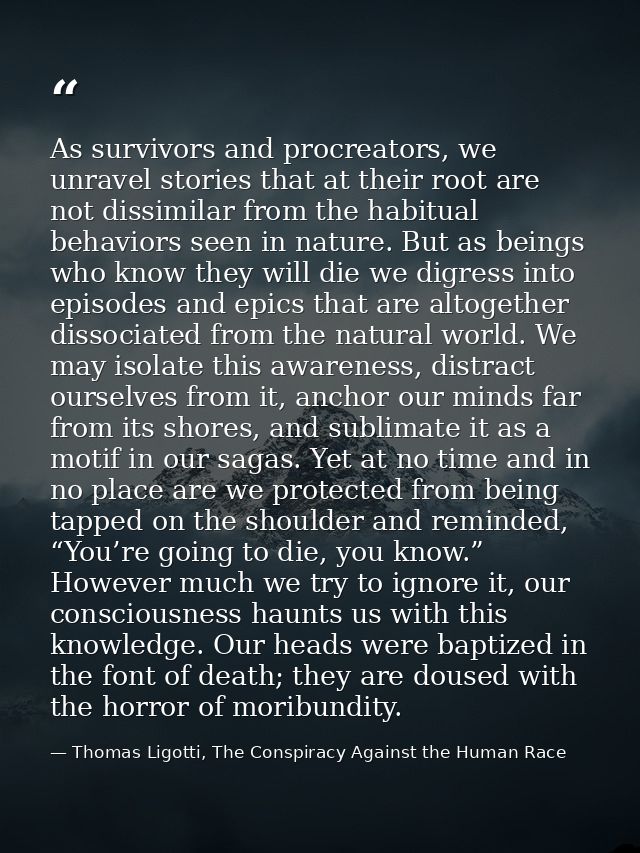 As survivors and procreators, we unravel stories that at their root are not dissimilar from the habitual behaviors seen  — Thomas Ligotti, The Conspiracy Against the Human Race