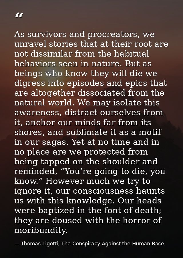 As survivors and procreators, we unravel stories that at their root are not dissimilar from the habitual behaviors seen  — Thomas Ligotti, The Conspiracy Against the Human Race