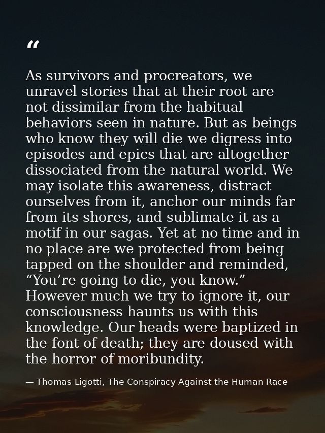 As survivors and procreators, we unravel stories that at their root are not dissimilar from the habitual behaviors seen  — Thomas Ligotti, The Conspiracy Against the Human Race