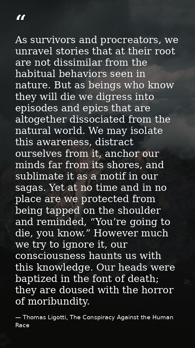 As survivors and procreators, we unravel stories that at their root are not dissimilar from the habitual behaviors seen  — Thomas Ligotti, The Conspiracy Against the Human Race