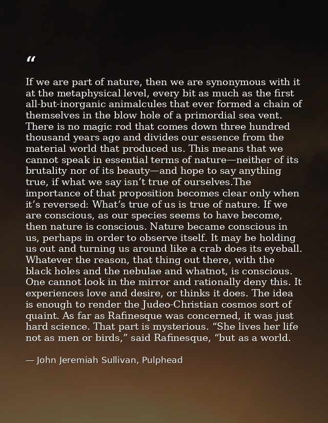 If we are part of nature, then we are synonymous with it at the metaphysical level, every bit as much as the first all-b — John Jeremiah Sullivan, Pulphead