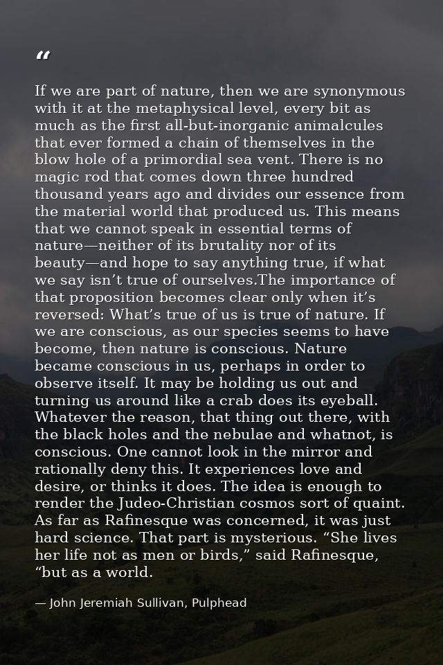 If we are part of nature, then we are synonymous with it at the metaphysical level, every bit as much as the first all-b — John Jeremiah Sullivan, Pulphead