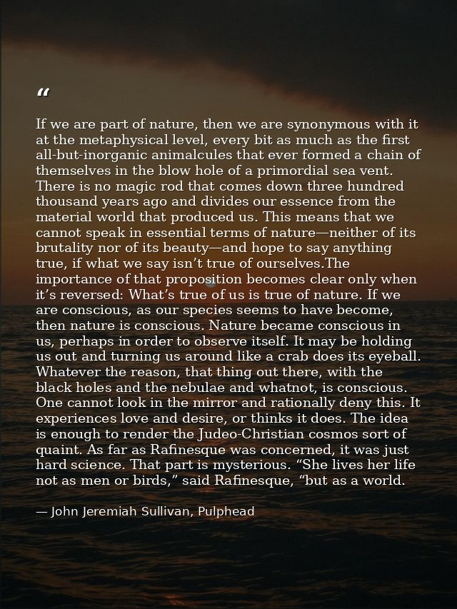 If we are part of nature, then we are synonymous with it at the metaphysical level, every bit as much as the first all-b — John Jeremiah Sullivan, Pulphead