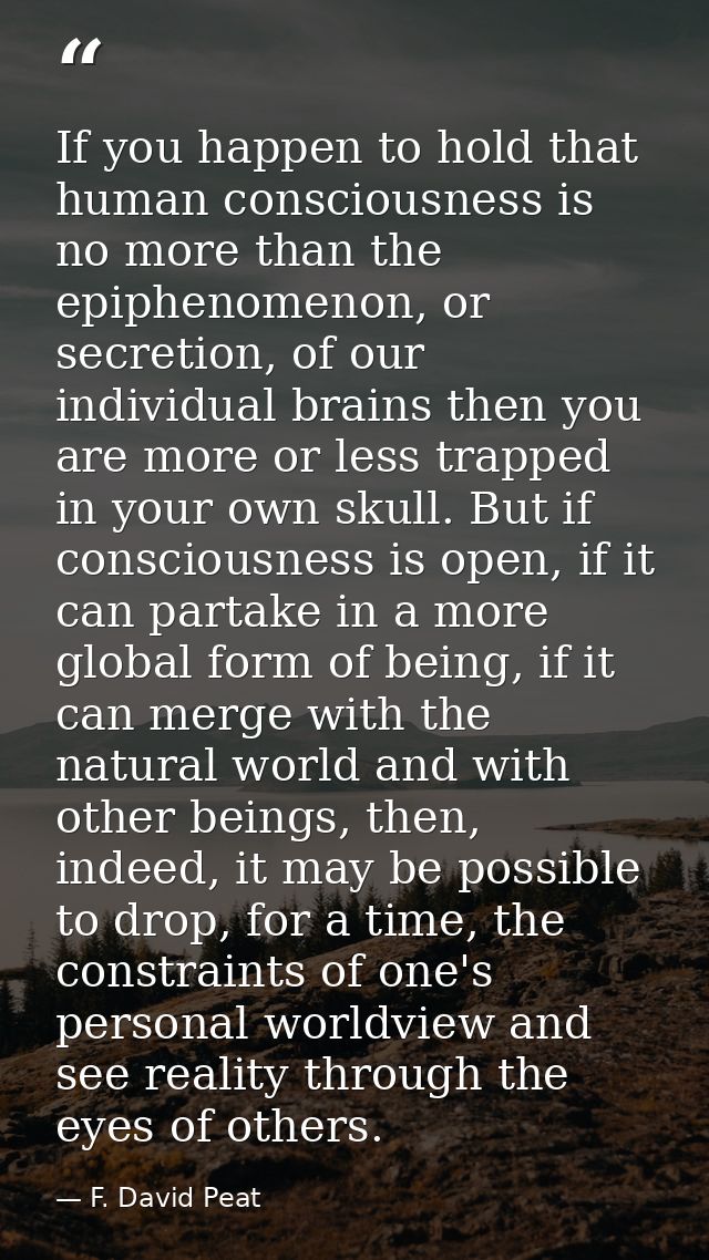If you happen to hold that human consciousness is no more than the epiphenomenon, or secretion, of our individual brains — F. David Peat
