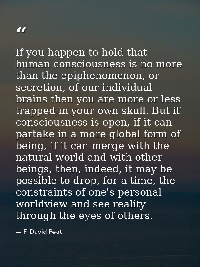If you happen to hold that human consciousness is no more than the epiphenomenon, or secretion, of our individual brains — F. David Peat