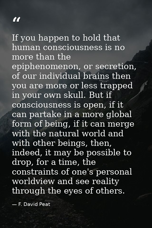If you happen to hold that human consciousness is no more than the epiphenomenon, or secretion, of our individual brains — F. David Peat