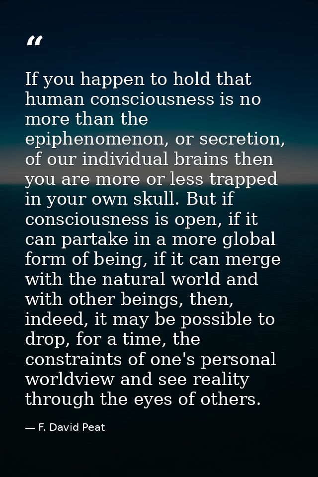 If you happen to hold that human consciousness is no more than the epiphenomenon, or secretion, of our individual brains — F. David Peat