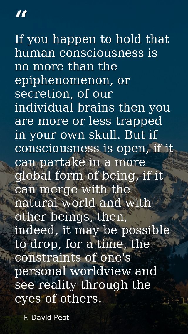 If you happen to hold that human consciousness is no more than the epiphenomenon, or secretion, of our individual brains — F. David Peat