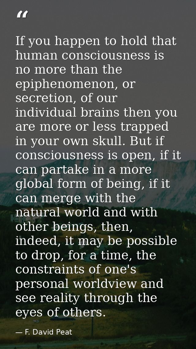 If you happen to hold that human consciousness is no more than the epiphenomenon, or secretion, of our individual brains — F. David Peat