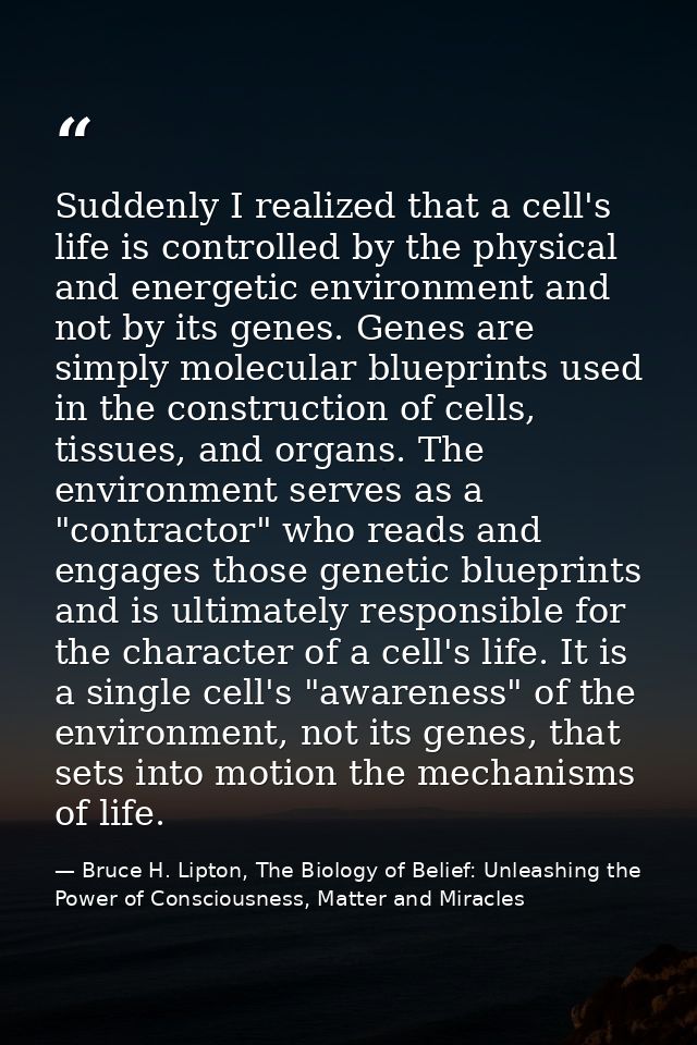 Suddenly I realized that a cell's life is controlled by the physical and energetic environment and not by its genes. Gen — Bruce H. Lipton, The Biology of Belief: Unleashing the Power of Consciousness, Matter and Miracles