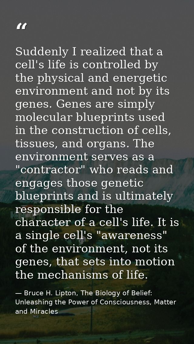 Suddenly I realized that a cell's life is controlled by the physical and energetic environment and not by its genes. Gen — Bruce H. Lipton, The Biology of Belief: Unleashing the Power of Consciousness, Matter and Miracles