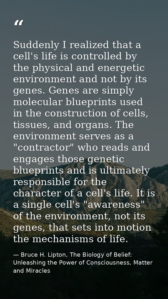 Suddenly I realized that a cell's life is controlled by the physical and energetic environment and not by its genes. Gen — Bruce H. Lipton, The Biology of Belief: Unleashing the Power of Consciousness, Matter and Miracles