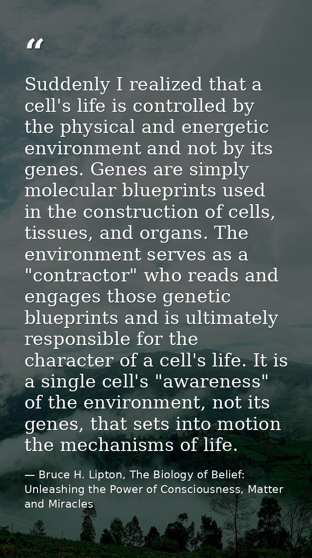 Suddenly I realized that a cell's life is controlled by the physical and energetic environment and not by its genes. Gen — Bruce H. Lipton, The Biology of Belief: Unleashing the Power of Consciousness, Matter and Miracles