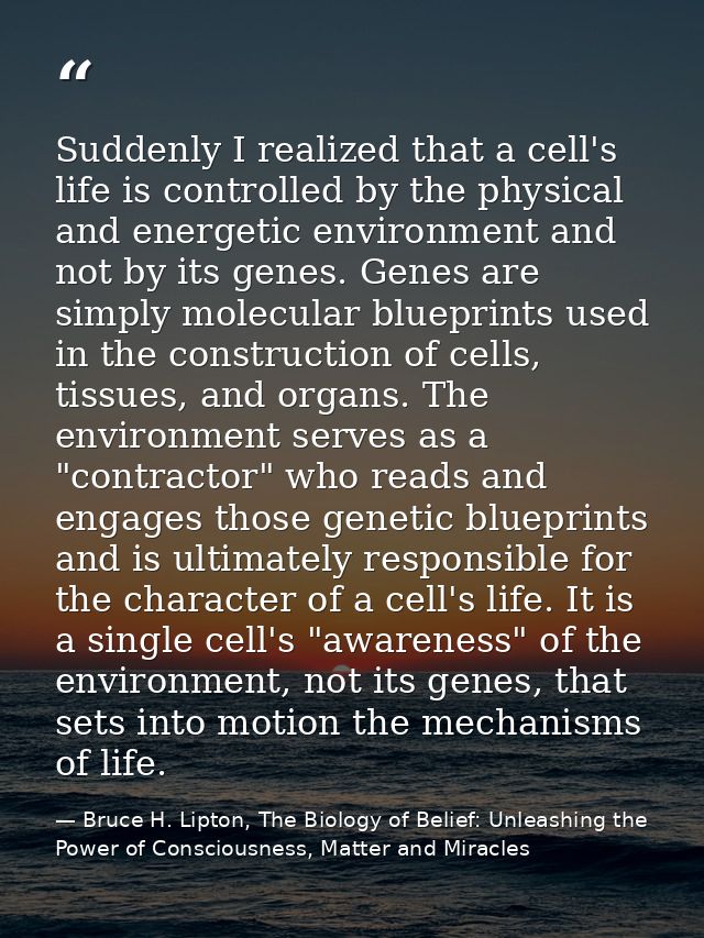 Suddenly I realized that a cell's life is controlled by the physical and energetic environment and not by its genes. Gen — Bruce H. Lipton, The Biology of Belief: Unleashing the Power of Consciousness, Matter and Miracles