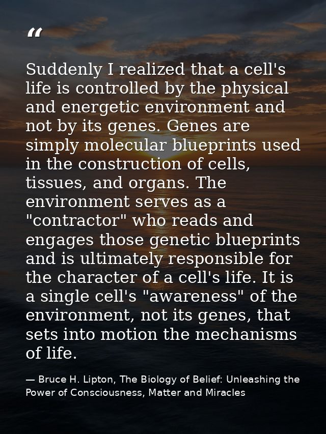 Suddenly I realized that a cell's life is controlled by the physical and energetic environment and not by its genes. Gen — Bruce H. Lipton, The Biology of Belief: Unleashing the Power of Consciousness, Matter and Miracles