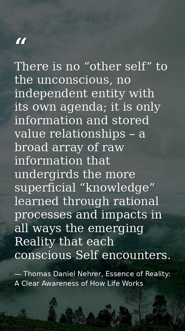 There is no “other self” to the unconscious, no independent entity with its own agenda; it is only information and store — Thomas Daniel Nehrer, Essence of Reality: A Clear Awareness of How Life Works