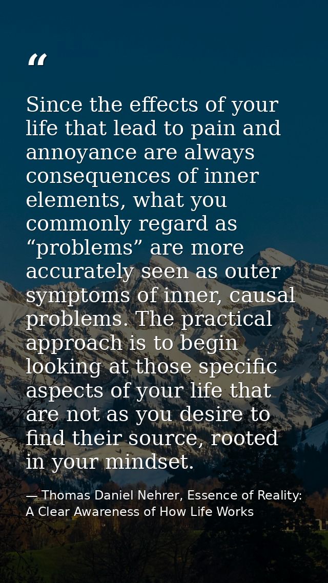 Since the effects of your life that lead to pain and annoyance are always consequences of inner elements, what you commo — Thomas Daniel Nehrer, Essence of Reality: A Clear Awareness of How Life Works