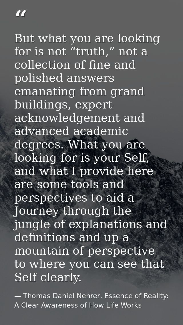 But what you are looking for is not “truth,” not a collection of fine and polished answers emanating from grand building — Thomas Daniel Nehrer, Essence of Reality: A Clear Awareness of How Life Works