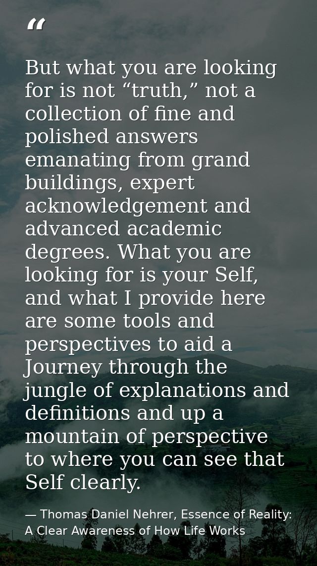 But what you are looking for is not “truth,” not a collection of fine and polished answers emanating from grand building — Thomas Daniel Nehrer, Essence of Reality: A Clear Awareness of How Life Works