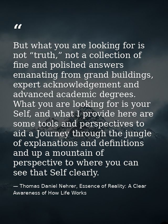 But what you are looking for is not “truth,” not a collection of fine and polished answers emanating from grand building — Thomas Daniel Nehrer, Essence of Reality: A Clear Awareness of How Life Works