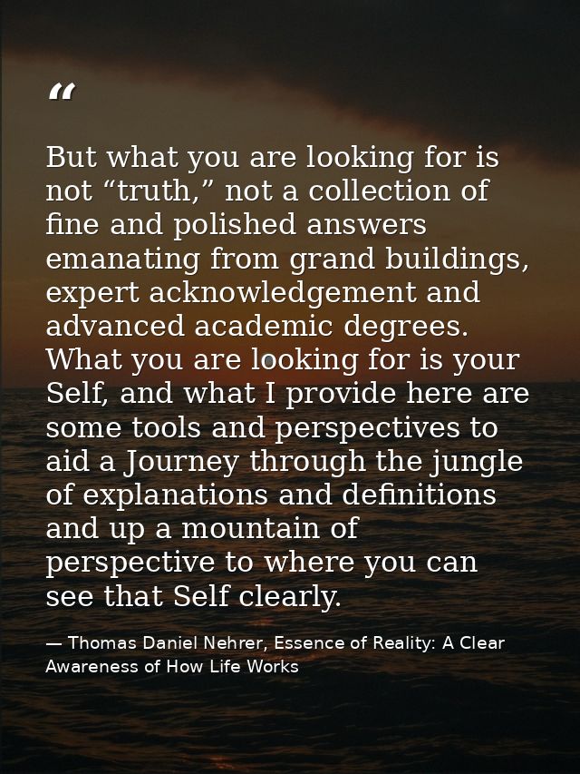 But what you are looking for is not “truth,” not a collection of fine and polished answers emanating from grand building — Thomas Daniel Nehrer, Essence of Reality: A Clear Awareness of How Life Works