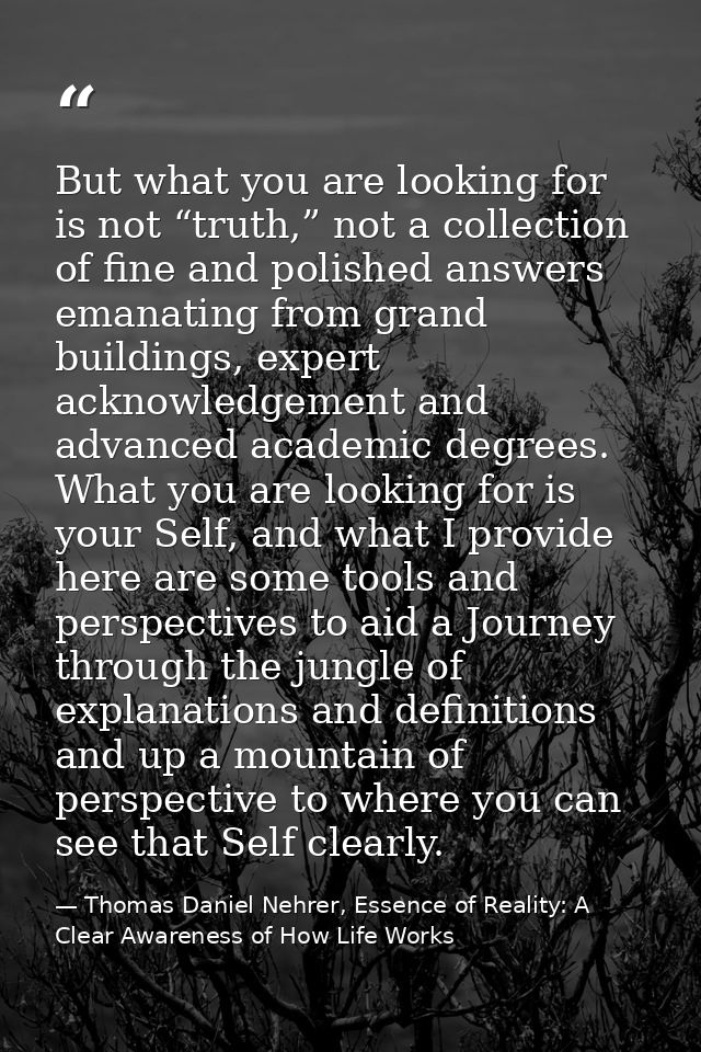 But what you are looking for is not “truth,” not a collection of fine and polished answers emanating from grand building — Thomas Daniel Nehrer, Essence of Reality: A Clear Awareness of How Life Works