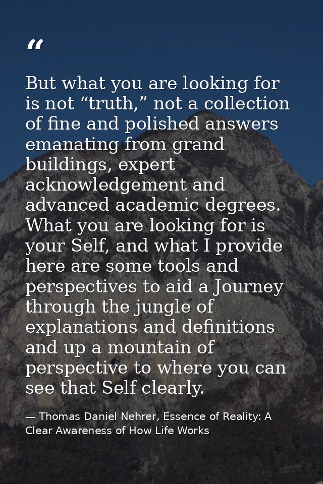 But what you are looking for is not “truth,” not a collection of fine and polished answers emanating from grand building — Thomas Daniel Nehrer, Essence of Reality: A Clear Awareness of How Life Works