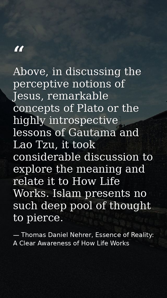 Above, in discussing the perceptive notions of Jesus, remarkable concepts of Plato or the highly introspective lessons o — Thomas Daniel Nehrer, Essence of Reality: A Clear Awareness of How Life Works