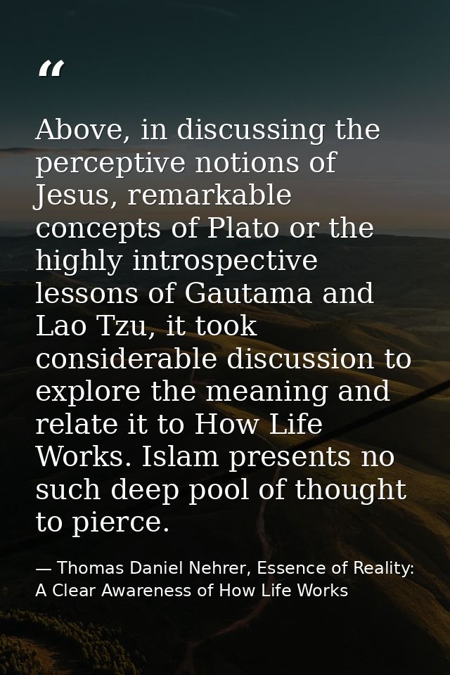 Above, in discussing the perceptive notions of Jesus, remarkable concepts of Plato or the highly introspective lessons o — Thomas Daniel Nehrer, Essence of Reality: A Clear Awareness of How Life Works