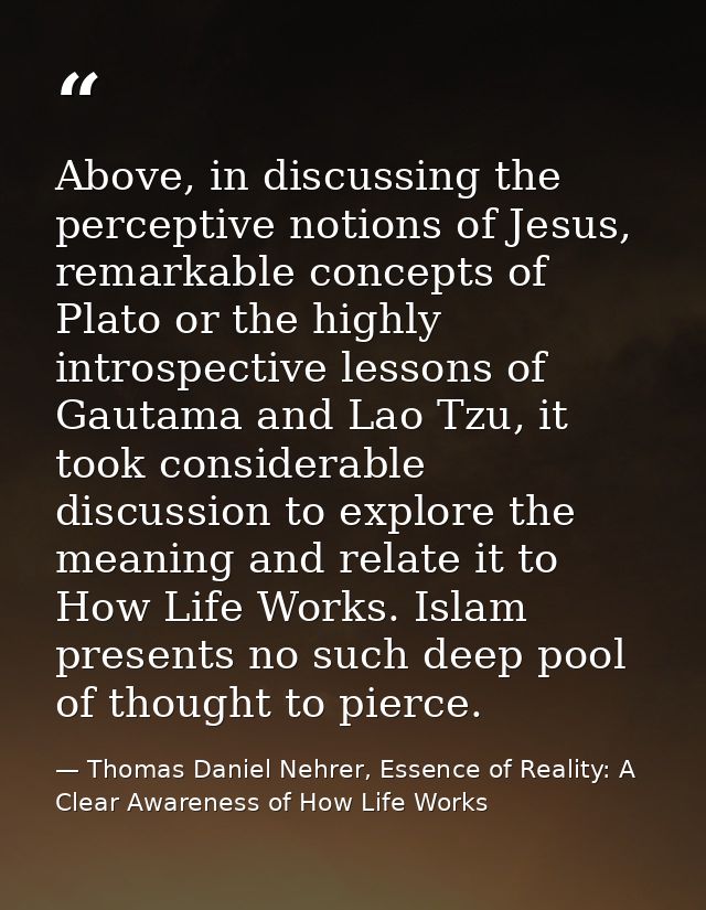 Above, in discussing the perceptive notions of Jesus, remarkable concepts of Plato or the highly introspective lessons o — Thomas Daniel Nehrer, Essence of Reality: A Clear Awareness of How Life Works