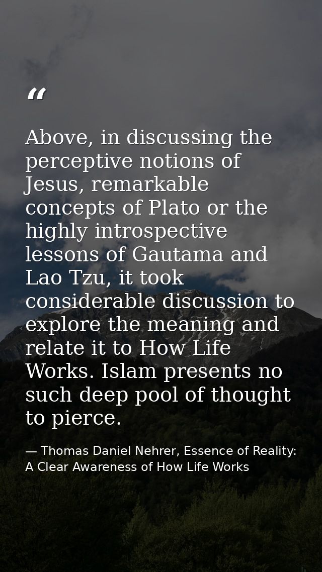 Above, in discussing the perceptive notions of Jesus, remarkable concepts of Plato or the highly introspective lessons o — Thomas Daniel Nehrer, Essence of Reality: A Clear Awareness of How Life Works