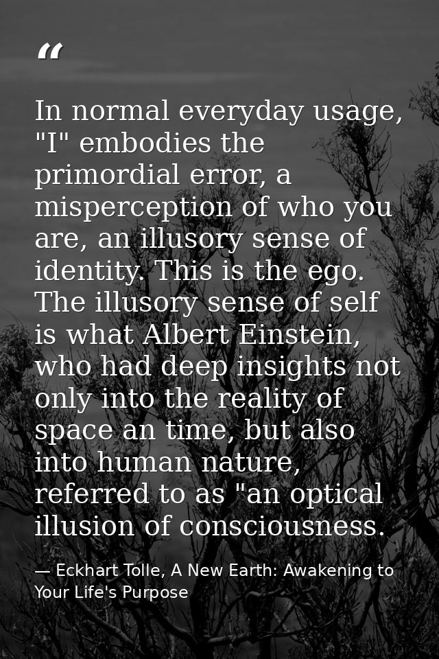 In normal everyday usage, "I" embodies the primordial error, a misperception of who you are, an illusory sense of identi — Eckhart Tolle, A New Earth: Awakening to Your Life's Purpose