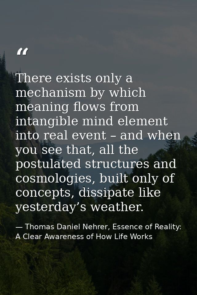 There exists only a mechanism by which meaning flows from intangible mind element into real event – and when you see tha — Thomas Daniel Nehrer, Essence of Reality: A Clear Awareness of How Life Works