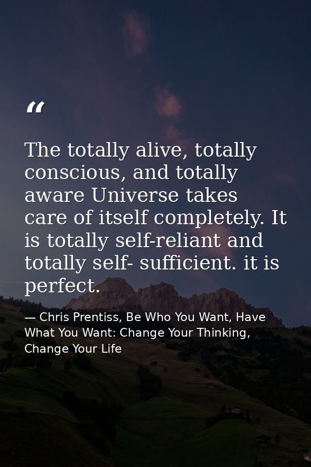 The totally alive, totally conscious, and totally aware Universe takes care of itself completely. It is totally self-rel — Chris Prentiss, Be Who You Want, Have What You Want: Change Your Thinking, Change Your Life