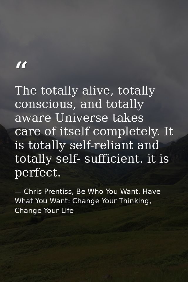 The totally alive, totally conscious, and totally aware Universe takes care of itself completely. It is totally self-rel — Chris Prentiss, Be Who You Want, Have What You Want: Change Your Thinking, Change Your Life