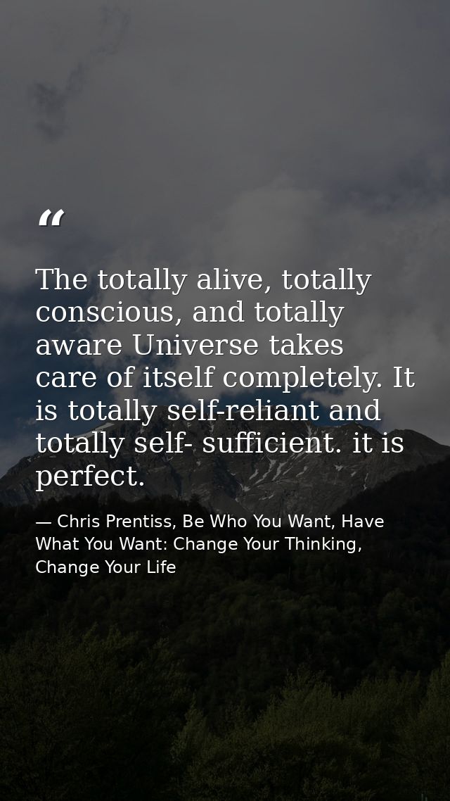 The totally alive, totally conscious, and totally aware Universe takes care of itself completely. It is totally self-rel — Chris Prentiss, Be Who You Want, Have What You Want: Change Your Thinking, Change Your Life