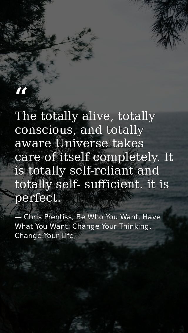 The totally alive, totally conscious, and totally aware Universe takes care of itself completely. It is totally self-rel — Chris Prentiss, Be Who You Want, Have What You Want: Change Your Thinking, Change Your Life