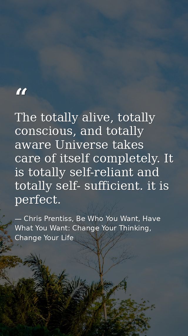 The totally alive, totally conscious, and totally aware Universe takes care of itself completely. It is totally self-rel — Chris Prentiss, Be Who You Want, Have What You Want: Change Your Thinking, Change Your Life