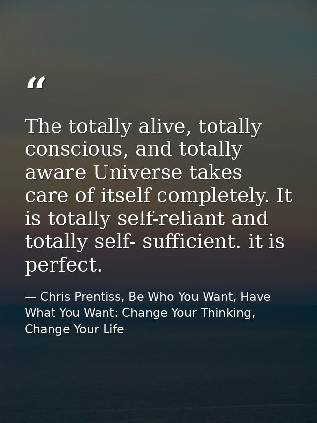 The totally alive, totally conscious, and totally aware Universe takes care of itself completely. It is totally self-rel — Chris Prentiss, Be Who You Want, Have What You Want: Change Your Thinking, Change Your Life