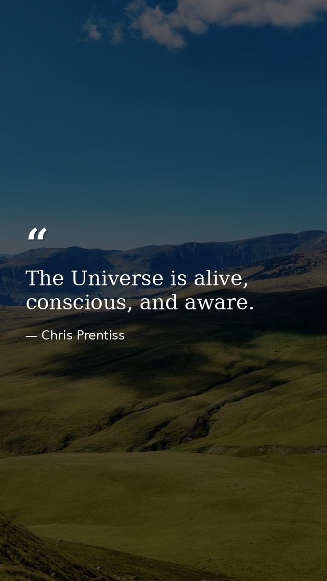 The Universe is alive, conscious, and aware. — Chris Prentiss