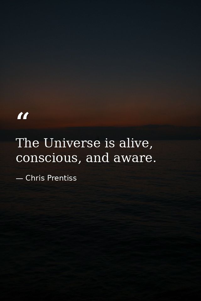 The Universe is alive, conscious, and aware. — Chris Prentiss
