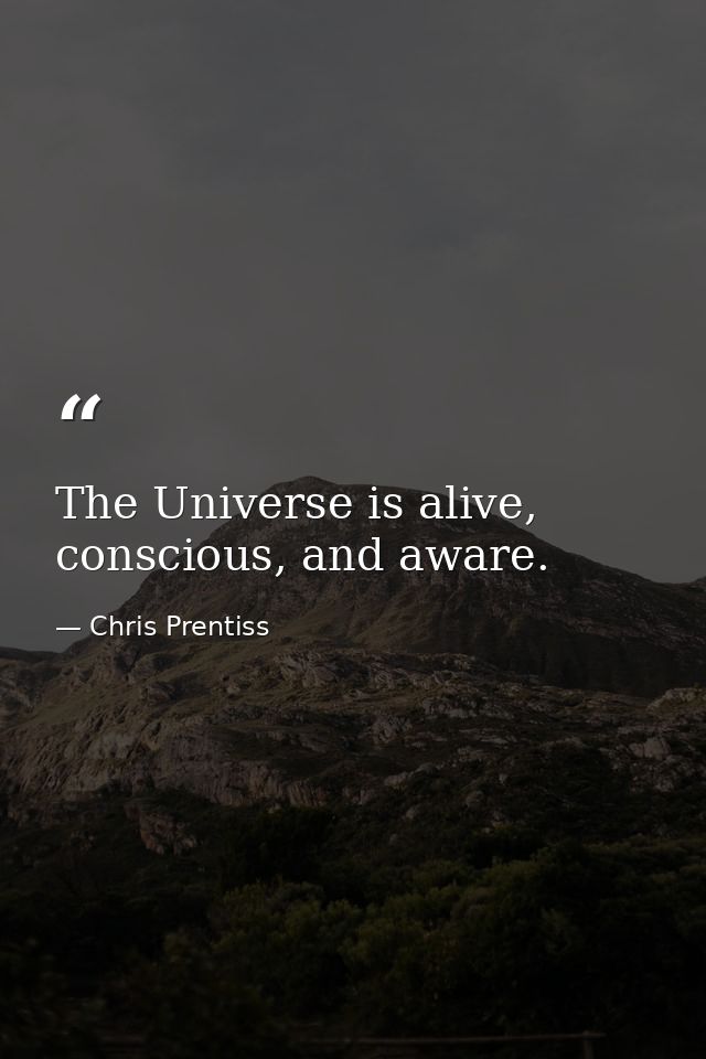 The Universe is alive, conscious, and aware. — Chris Prentiss